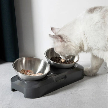 ElevateFeast Double Pet Bowl